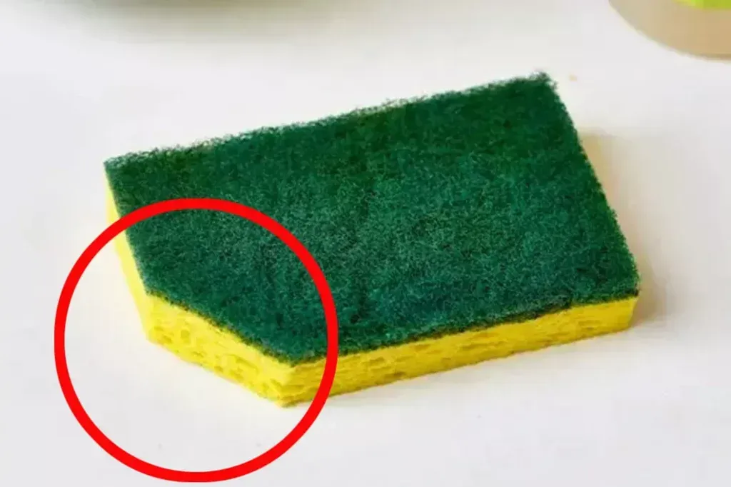 Einfache Küchen‑Hacks: So klappt die tägliche Reinigung mit einem kleinen Trick